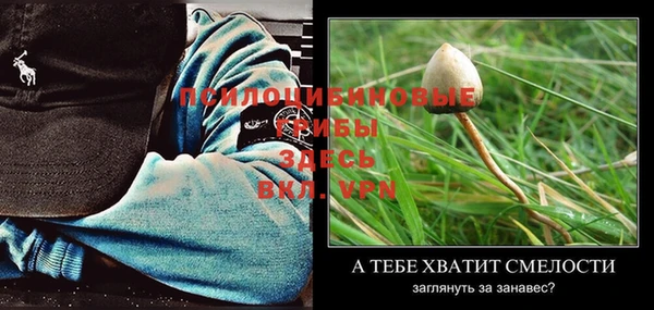 бошки Магадан