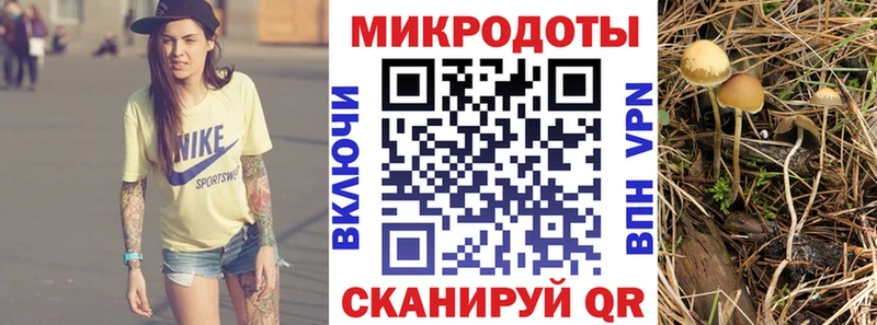 Галлюциногенные грибы мухоморы  ссылка на мегу маркетплейс  Бологое 