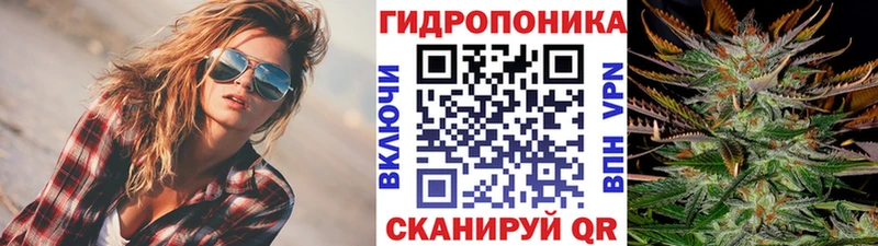 Каннабис марихуана Бологое